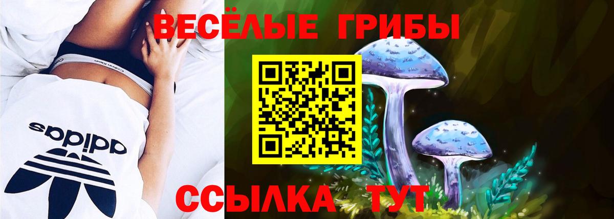 Псилоцибиновые грибы Psilocybe  Псилоцибиновые грибы Psilocybine cubensis  Вход с VPN  Пушкино 